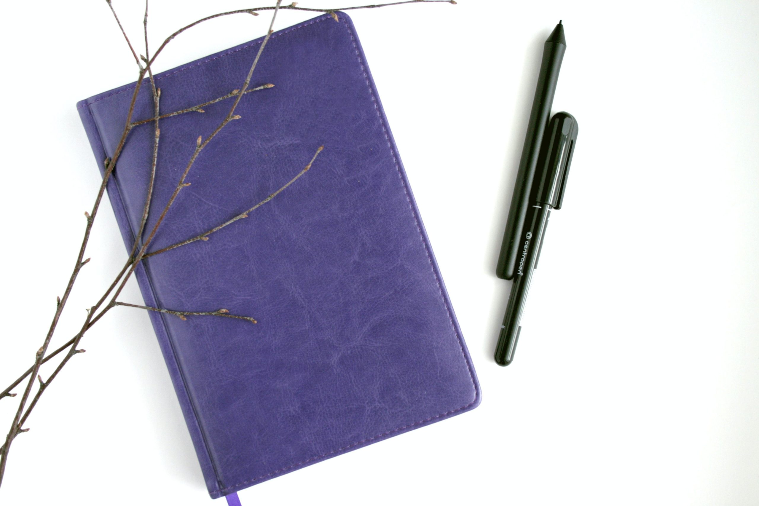 purple leather notebook black pen and brown branches